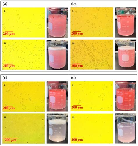 Photographs and microscopy imaging of oil-water emulsions before (i)... | Download Scientific ...