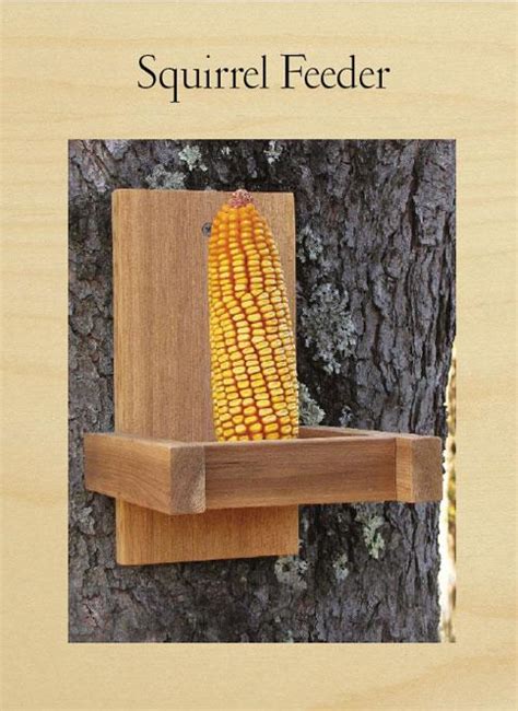 Squirrel Feeder | Woodworking Project | Woodsmith Plans