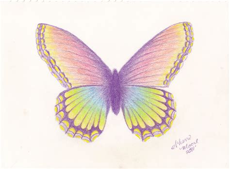 Butterfly Pencil Drawing at GetDrawings | Free download