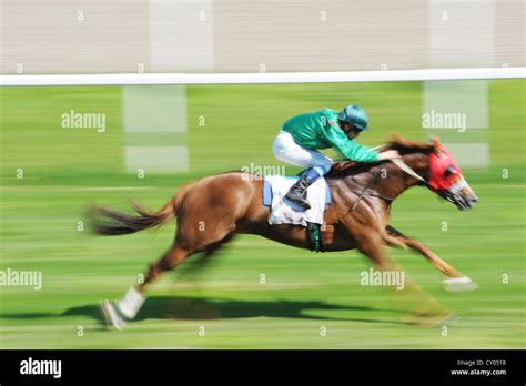 A race horse running at full speed, Magna Racino, Ebreichsdorf Stock ...