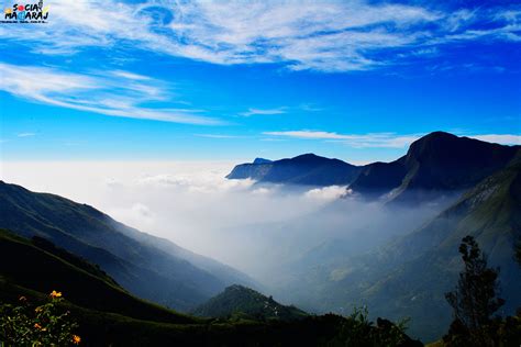 Munnar to Top Station drive - one of the most scenic roads in India