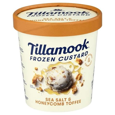 Tillamook Sea Salt & Honeycomb Toffee Frozen Custard Dessert (15 fl-oz ...