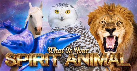 Spirit Animal Quiz – What's My Spirit Animal?