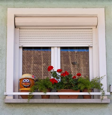 The Growing Demand of Window Roller Shutters - LavandaMichelle