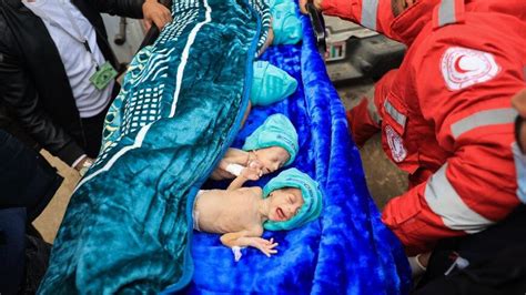 29 premature babies evacuated from Gaza arrive in Egypt: media