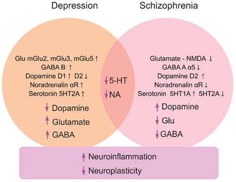 Atypical Antipsychotics Mechanism Of Action