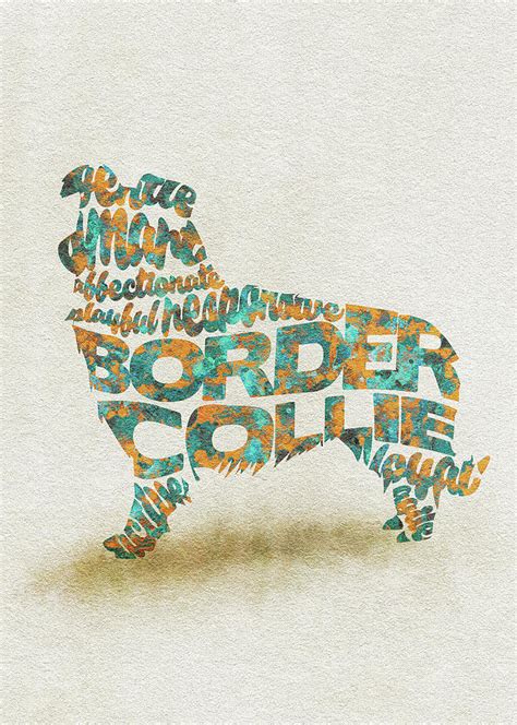 Border Collie Watercolor Painting / Typographic Art Painting by ...