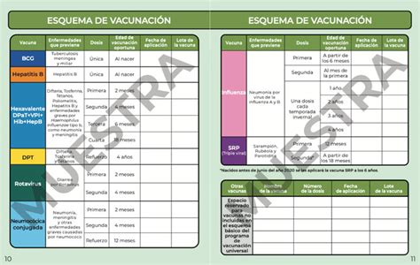 Usos y cuidados de la cartilla de vacunación infantil (0-9 años) - Vaxicare