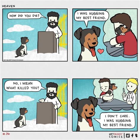 Hilariously Cute Doggo Comics That Any Dog Owner Can Relate To