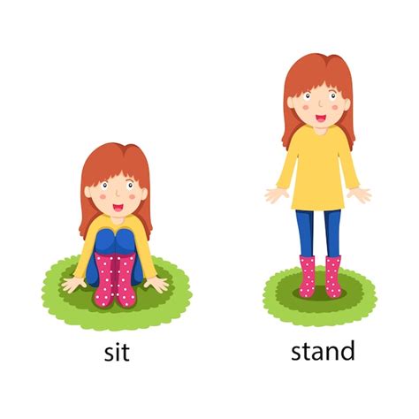 Premium Vector | Illustrator of opposite sit and stand