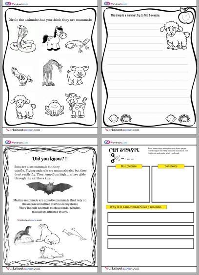 Mammals free worksheets for kids - worksheetszone