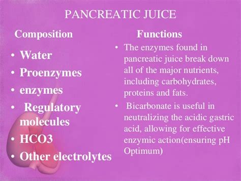 1.digestive juices