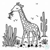 47 Girafas Para Colorir  Páginas Imprimir Grátis sketch template