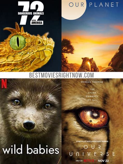 The Best Animal Movies on Netflix - Best Movies Right Now