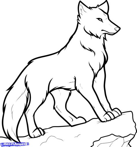 White Wolf Drawing | Free download on ClipArtMag