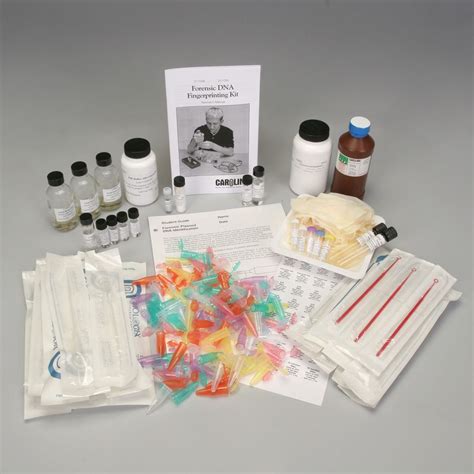 DNALC Forensic DNA Fingerprinting Kit | Carolina.com