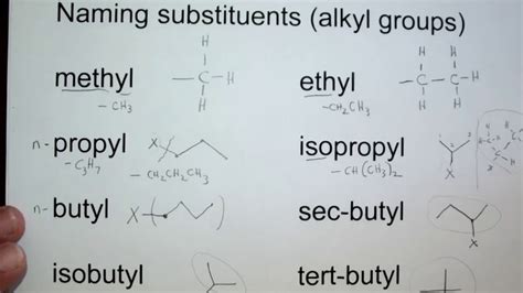 006 Alkyl substituent names and structures | nomenclature คือ - Th4.egg ...