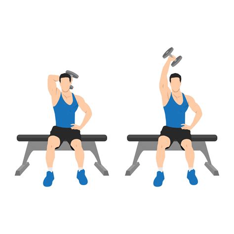 Man doing Seated Single arm overhead dumbbell tricep extensions exercise. 24792801 Vector Art at ...