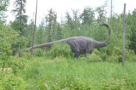 Mesozoic Musings at Jurassic Forest: A Few Dinosaur Myths