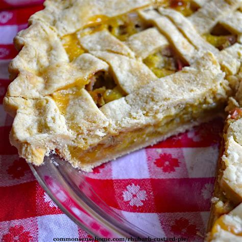 Easy Old Fashioned Rhubarb Custard Pie (4 Ingredient Filling)