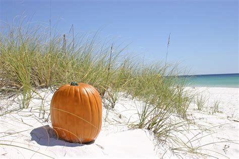 autumn at the beach. | Beach, Beach images, Types of photography