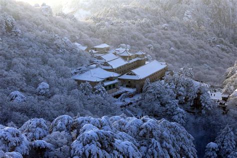 snow-covered pine trees at Huangshan Mountain via Discover China ...