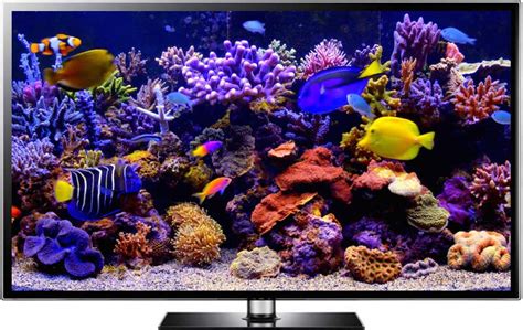 4K Screensavers Can Make a World of Difference…And Here’s Why - Uscenes