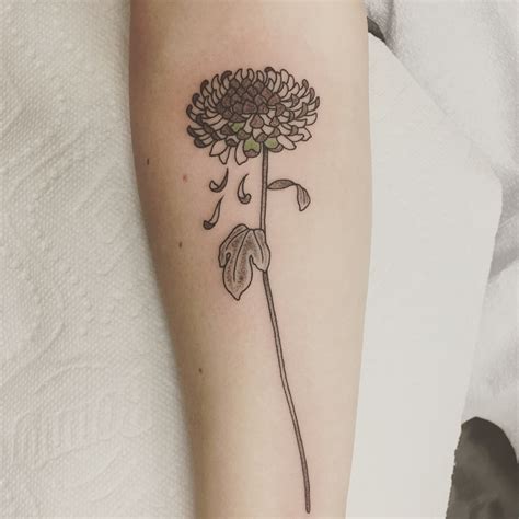 Chrysanthemum tattoo | Chrysanthemum tattoo, Tattoos, Mini tattoos