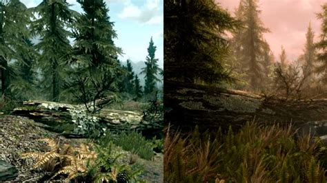 Skyrim Special Edition VS Legendary [Differences Comparison!] | FuZhy