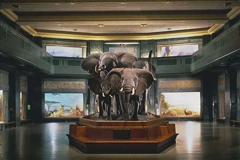 Five Must-See Museums in New York City | Smithsonian