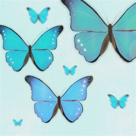 🦋 blue butterflies | Blue butterfly, Butterfly drawing, Butterfly