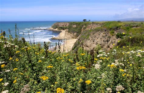 Hiker's Guide - California Coastal Trail