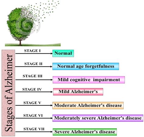 Stages Of Alzheimer's Progression Chart