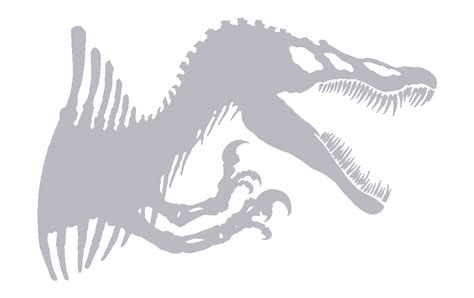 Jurassic Park Spinosaurus Skeleton (Gray) PNG by jakeysamra on DeviantArt