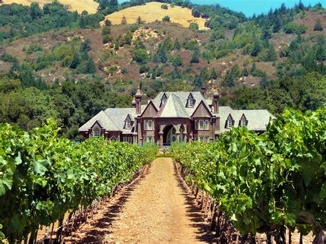 Sonoma Vineyard, Ca. | Sonoma vineyards, Wine tasting near me, Spanish wine