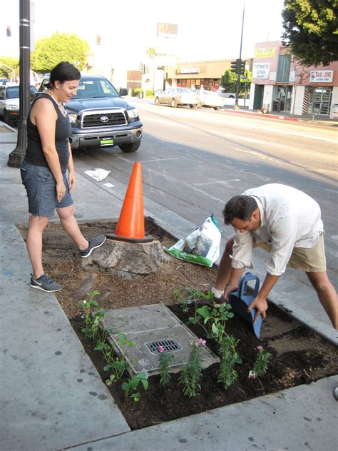 Spatial Agency: Guerrilla Gardening