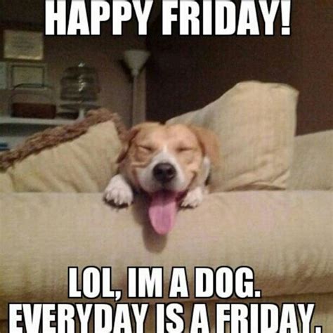 Dog Happy Friday Meme Funny