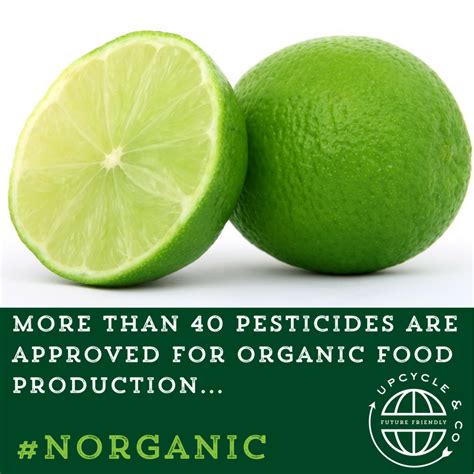 More Than 40 Pesticides Are Approved for Organic Food – Upcycle & Co