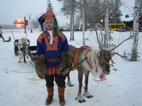 Reindeer for tourist attractions and herding | Grandma in Lapland