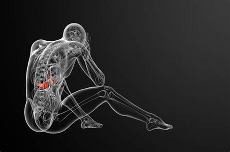 The first 'artificial pancreas' could be available in 2018