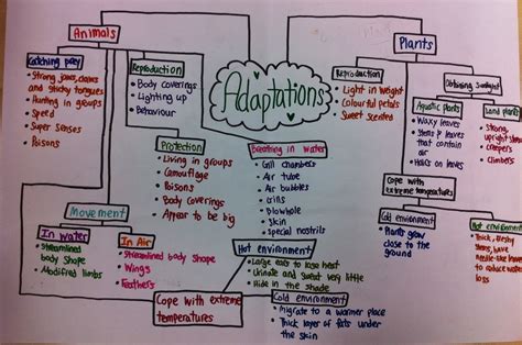 Mind map of Adaption in animals - Biology - Habitats and Adaptations ...