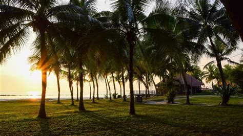 Sunset Magic: Bagan Lalang's Allure on Malaysia's West Coast ⋆ travellingto.asia