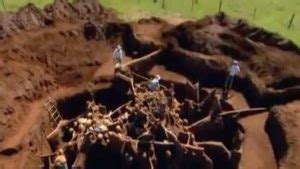 Watch what happens when scientists excavate a giant anthill | Earth ...