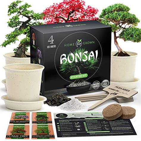 Best Bonsai Tree Starter Kit