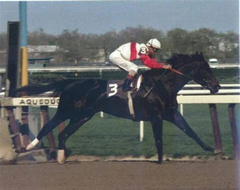 Ruffian | Ruffian, Racehorse, Filly