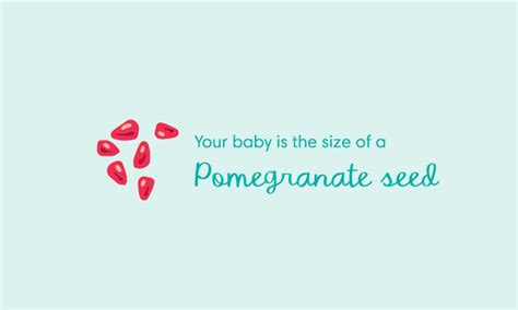 6 Weeks Pregnant: Symptoms & Baby Development | Pampers UK