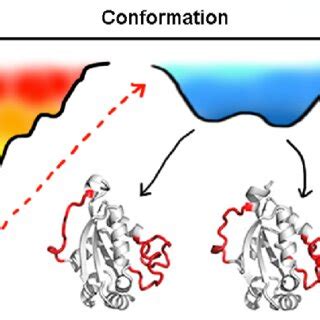 Schematic representation of protein folding and ensemble nature of the... | Download Scientific ...