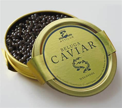 Beluga Caviar – Attilus Caviar