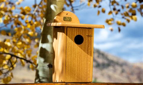 Bird House Products – Birds Choice