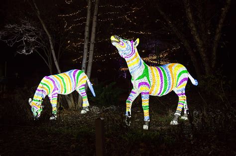 Lincoln Park ZooLights and Its More Than Two Million Lights Are Back | WTTW Chicago